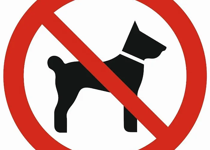 Oaza Deluxe زاكوباني